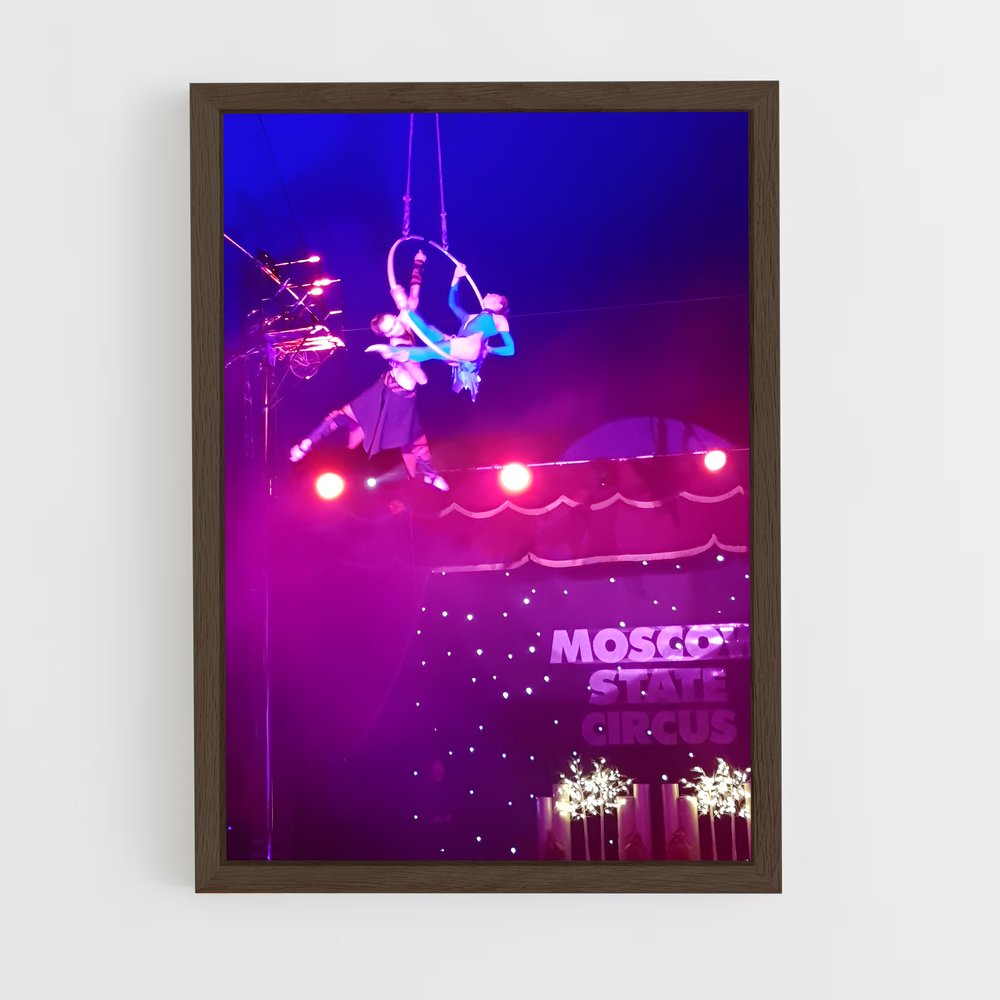 Poster L'Art du Fil – affiche Cirque (vue 5)